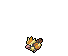 Pidgey