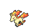 Rapidash