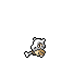 Cubone