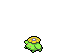 Skiploom