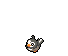 Starly