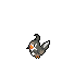Staravia