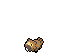 Bidoof