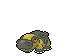Hippowdon