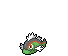 Basculin (Red-Striped Form)