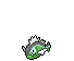 Basculin (White-Striped Form)