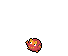 Darumaka