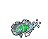 Basculegion (Female)