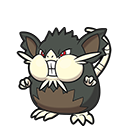 Raticate