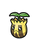 Sunkern