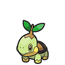 Turtwig