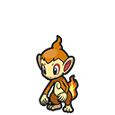 Chimchar