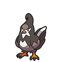 Staravia