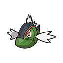 Basculin (Red-Striped Form)