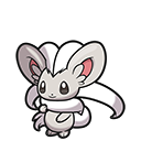 Cinccino