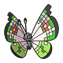 Vivillon (Fancy)