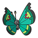 Vivillon (Garden)
