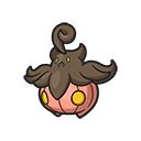 Pumpkaboo (Average Size)