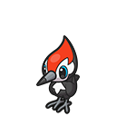 Pikipek