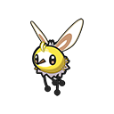 Cutiefly