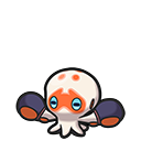 Clobbopus