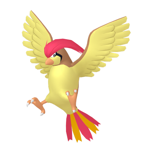 Pidgeotto in Pokémon HOME