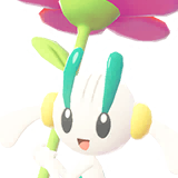 Floette