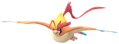 Pidgeot