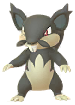 Rattata