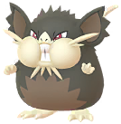 Raticate