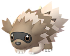Zigzagoon