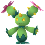 Maractus