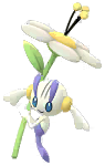 Shiny Floette