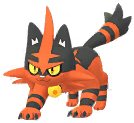 Torracat