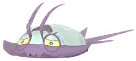 Wimpod