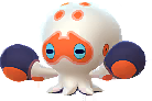 Clobbopus
