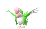 Shiny Squawkabilly