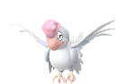 Shiny Squawkabilly