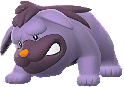 Shiny Maschiff