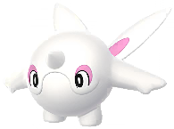 Cetoddle
