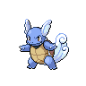 Wartortle in Black & White