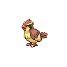 Pidgey, Front, in Black 2 & White 2