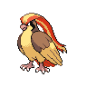 Pidgeot, Front, in Black & White