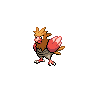 Spearow, Front, in Black 2 & White 2