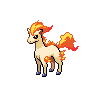 Ponyta, Front, in Black & White
