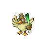 Farfetch'd, Front, in Black 2 & White 2