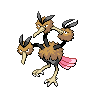 Dodrio in Black & White