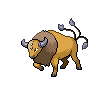 Tauros, Front, in Black 2 & White 2