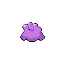Ditto in Black & White