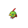 Natu, Front, in Black 2 & White 2